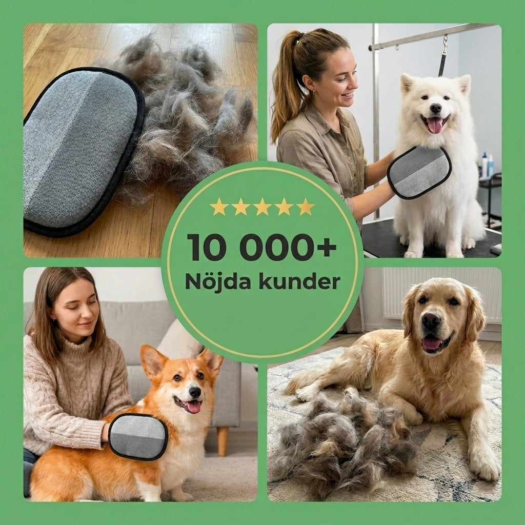 HairPaw – Pälsfritt hem utan ansträngning