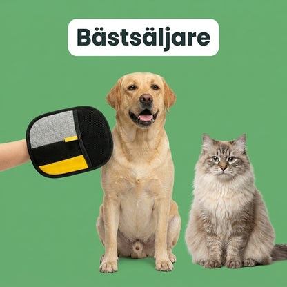 HairPaw – Pälsfritt hem utan ansträngning